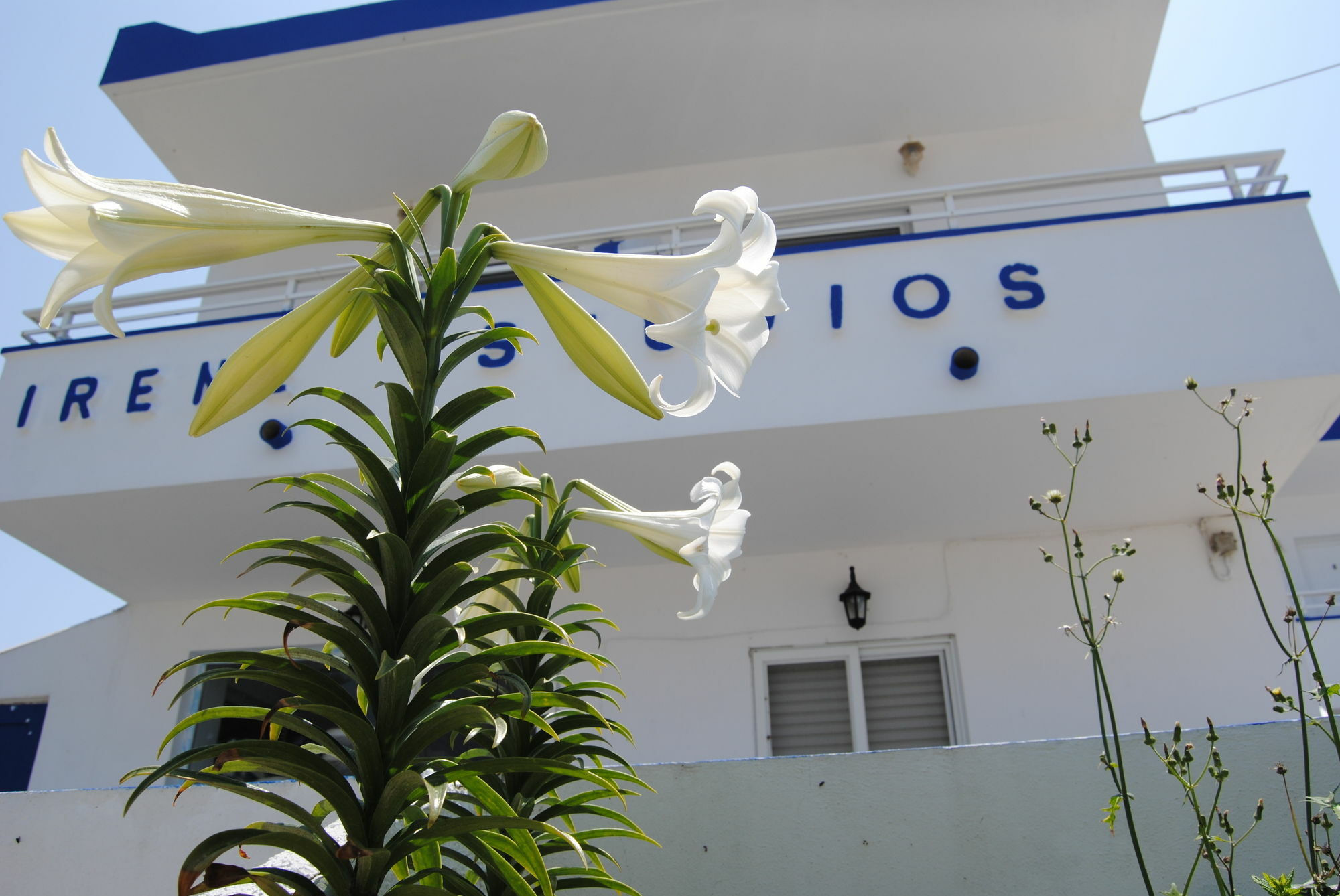 Irene Studios Kéfalos Exteriör bild